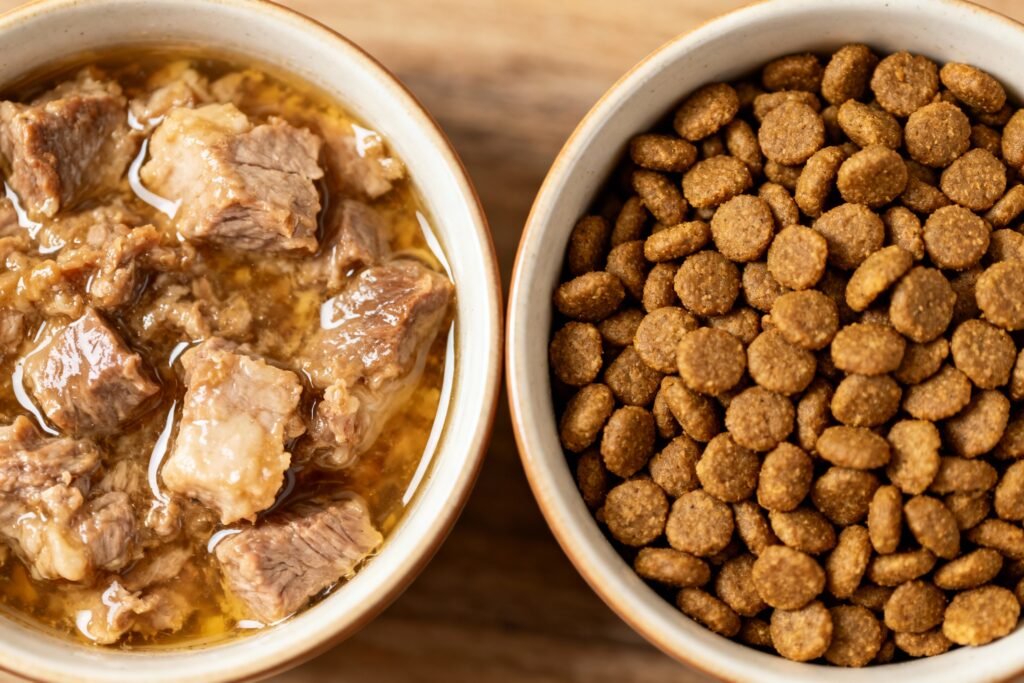 How To Choose Wet Vs Dry Food