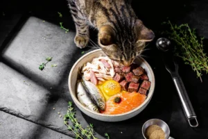 High-Protein Homemade Cat Food Recipes Cats Love Now
