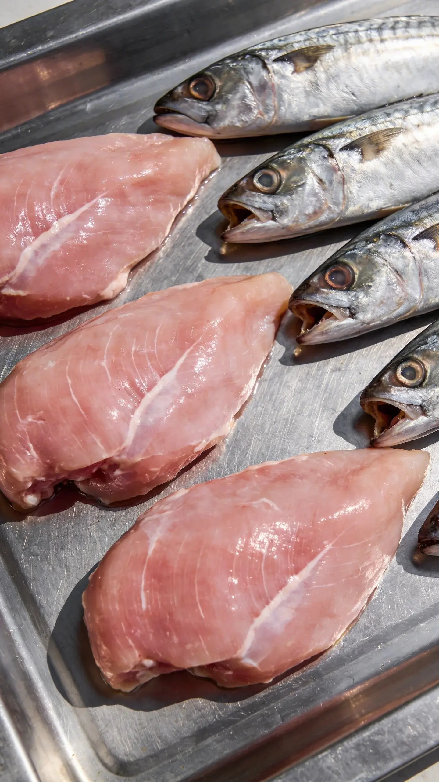raw chicken thighs and sardines on stainless tray