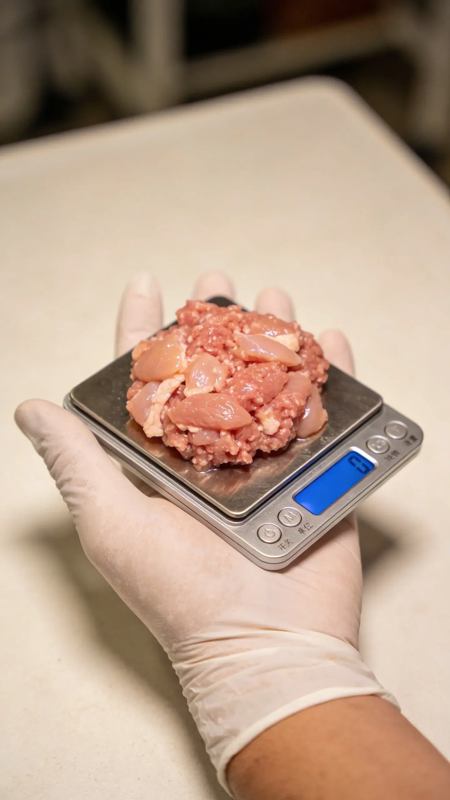 veterinarian hand weighing ground raw chicken for cat diet